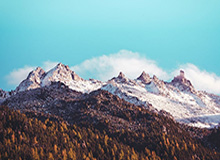 竞技宝APP-Kaiyun中国官网：连接品质与创新的官方入口